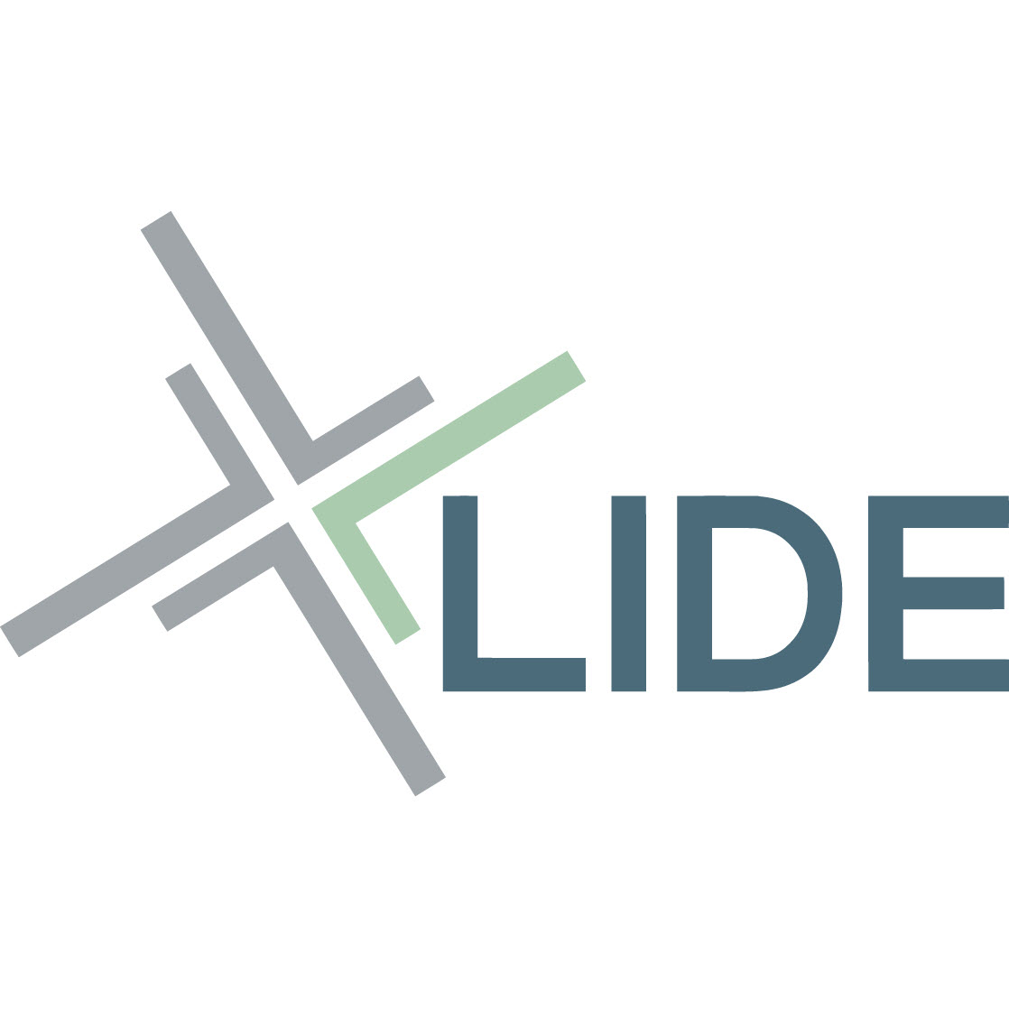 LIDE logo in the highest resolution