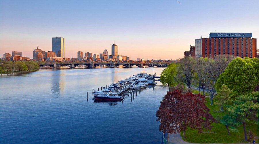 royal-sonesta-boston royal-sonesta-boston