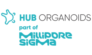 HUB Logo